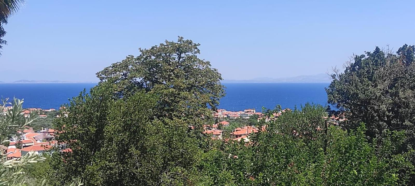 Studios Akrotiri Mytilíni Buitenkant foto